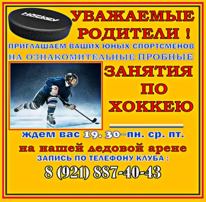 ДЕТСКО-ЮНОШЕСКИЙ ХОККЕЙНЫЙ КЛУБ " МАКСИМУМ", фото 2