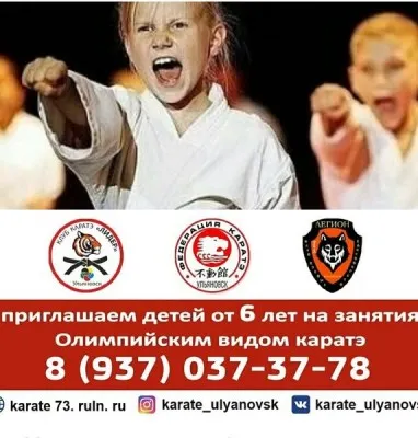 Олимпийское каратэ WKF