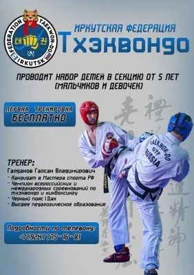 Тхэквондо ГТФ