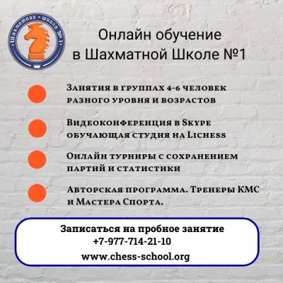 Шахматы