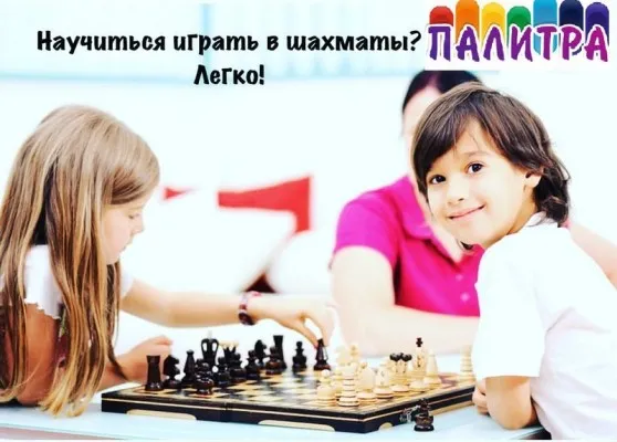 Шахматы
