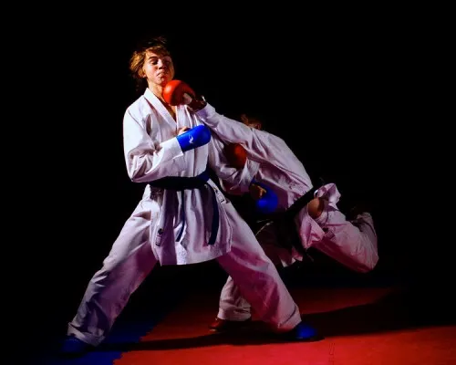Карате (WKF)