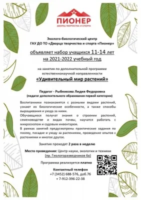 Удивительный мир растений