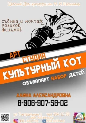 Арт-студия "Культурный кот"