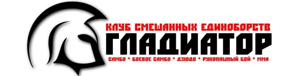 GLADIATOR/Самбо/Боевое самбо, фото 2