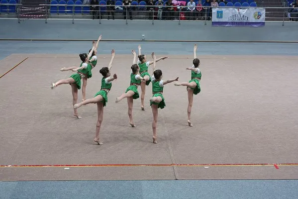 Спортивная эстетическая гимнастика, фото 4