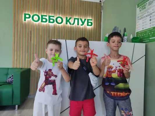 Игровая робототехника