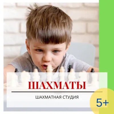 Шахматы