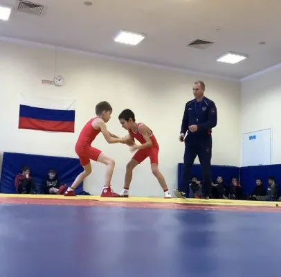 Греко-римская борьба