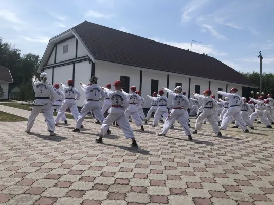 Тхэквондо для детей, фото 2