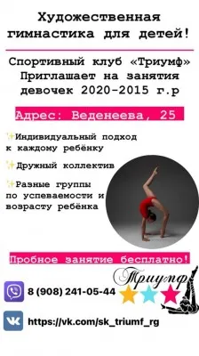 СК «Триумф» по Художественной гимнастике, фото 1