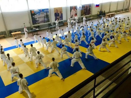 Занятия в спортивных группах карате-кёкусинкай, фото 2